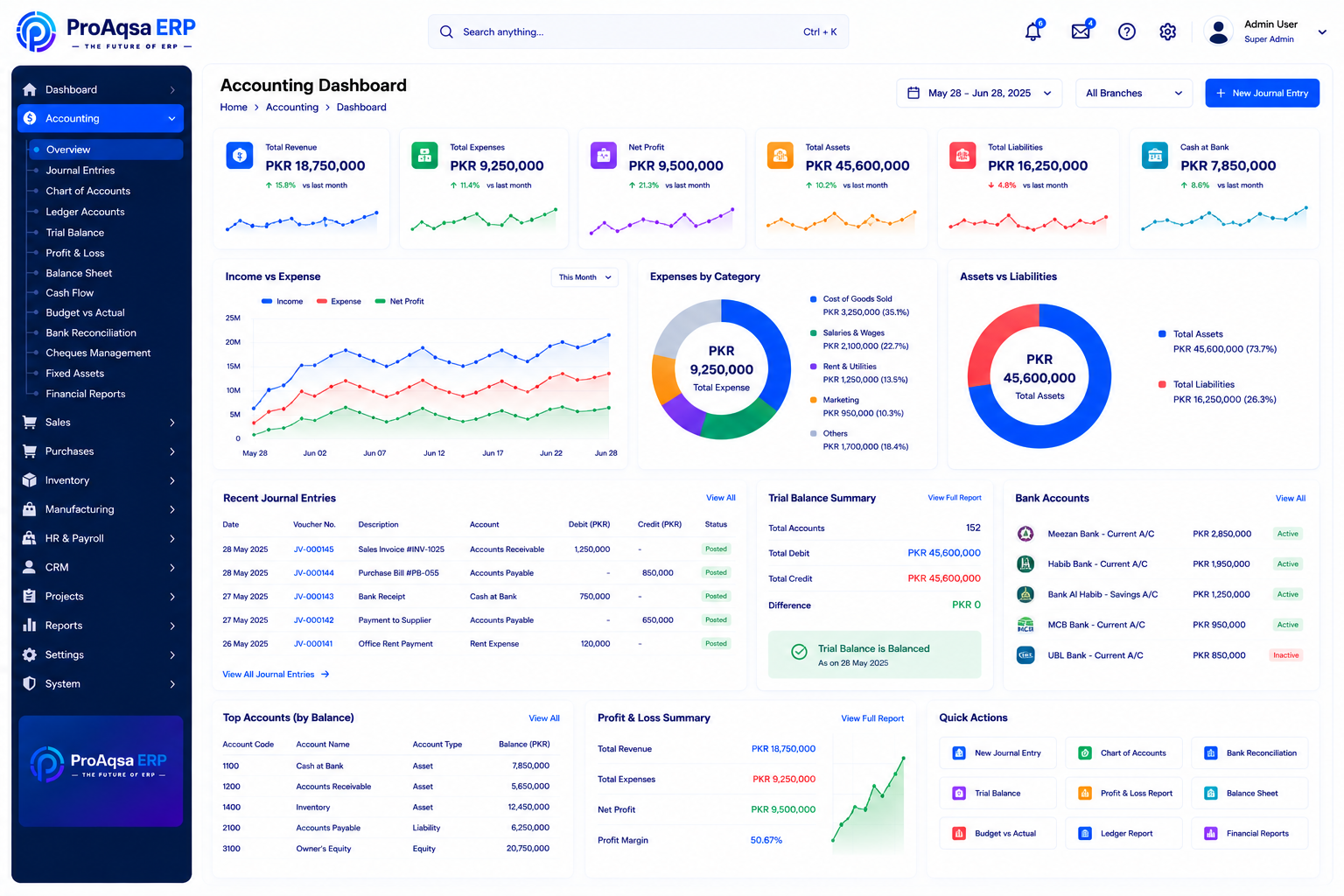 Illustrative ProAqsa ERP finance workspace with financial statements and bank information.